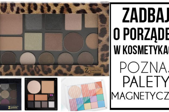 Masz za dużo kosmetyków? Poznaj palety magnetyczne (FOTO)