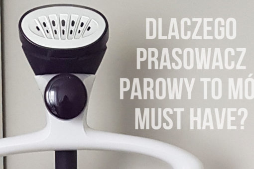 Steamer stojący, czyli rzecz, której nie wyobrażam sobie nie mieć [RECENZJA]