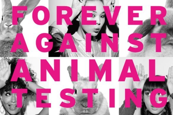 Wspieramy The Body Shop w walce o zakaz testowania kosmetyków na zwierzętach!