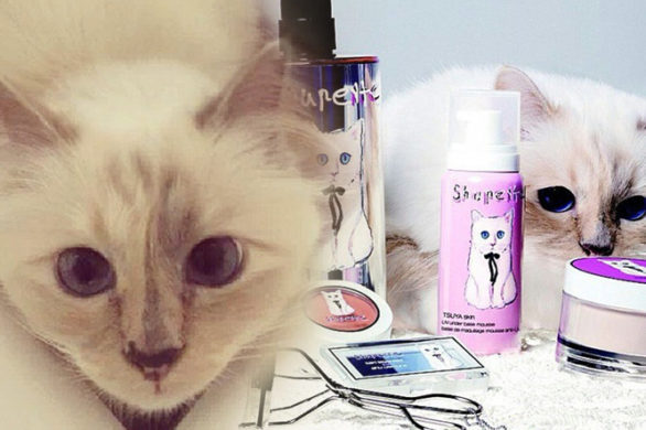 Choupette Lagerfeld ma swoją kolekcję kosmetyków! (FOTO)