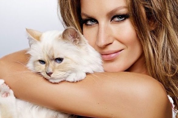 Choupette doczekała się pierwszej okładki Vogue’a!