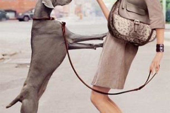Coco Rocha w kampanii reklamowej Longchamp