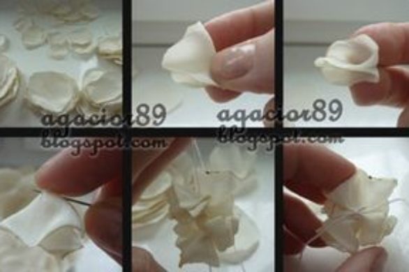 Szafiarki: Agacior89