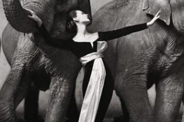 Dom mody Dior w posiadaniu najdroższej fotografii