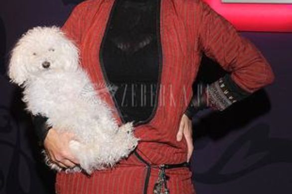 Kora nosi pieska zamiast torebki