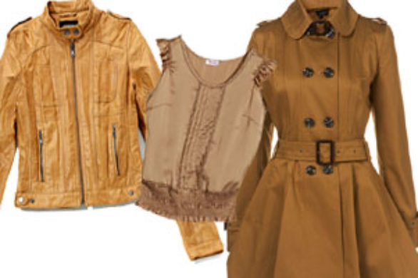 Kolor jesieni: camel