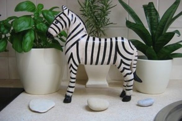 Zebra dla Zeberek