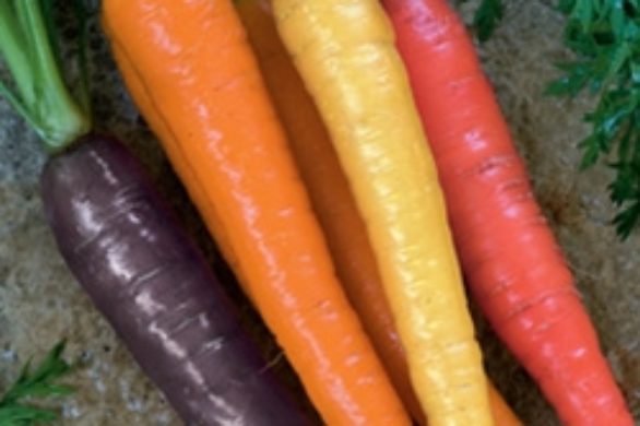 Kosmetyki Yes To Carrots