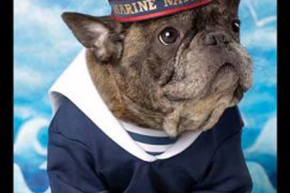 Piesek Francois Narsa gwiazdą kampanii reklamowej