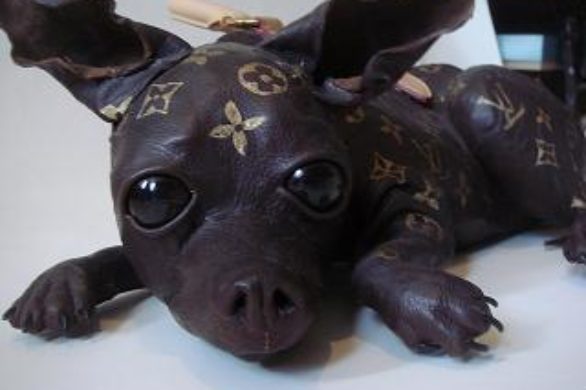 Kto zamienił swoje zwierzątko w torebkę?