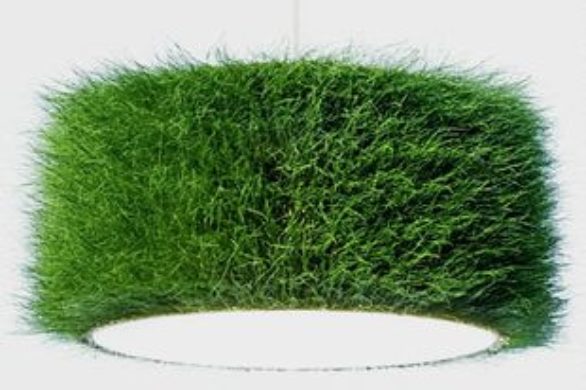 Lampa obtoczona w trawie?