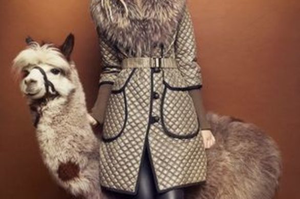 Hexeline na jesień-zimę 2011 (FOTO)