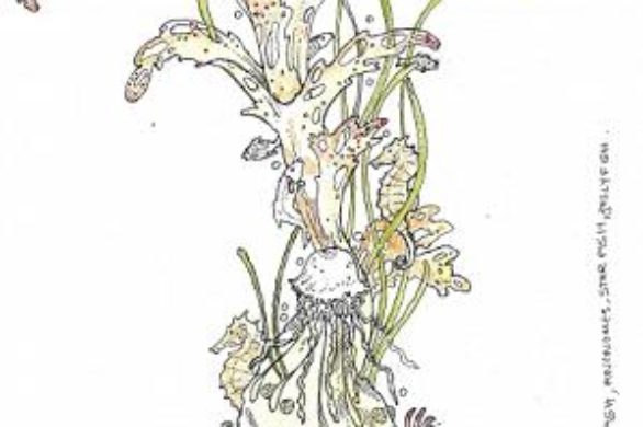 Najnowszy projekt Johna Galliano