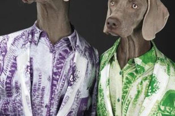 W nowej kampanii Acne zamiast modelek wystąpiły psy