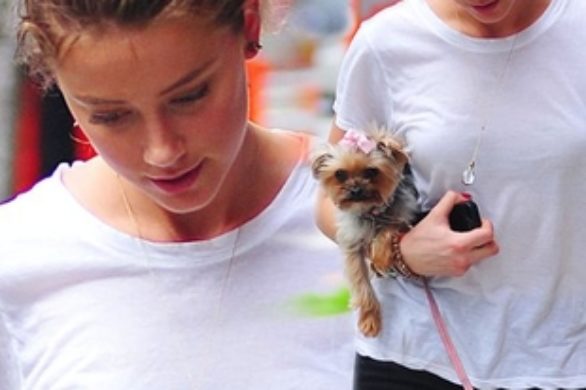 Amber Heard już znudziły się blond włosy (FOTO)