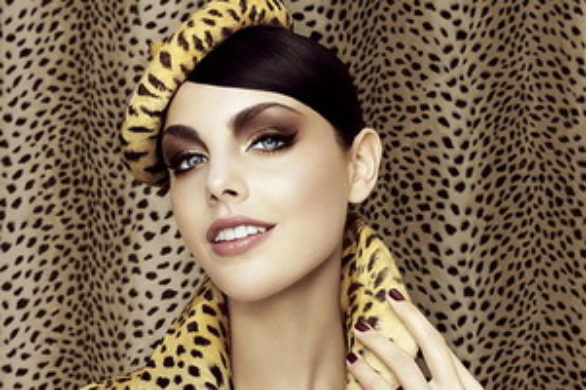 Lamparcica na salonach