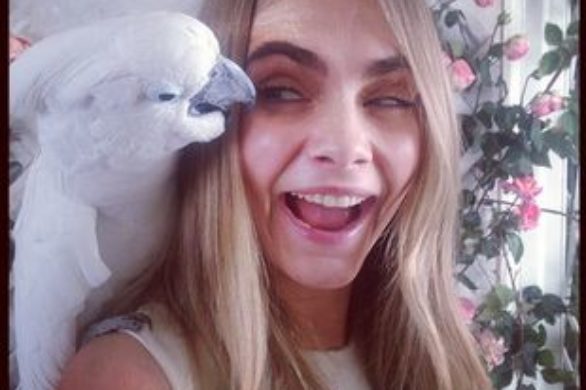 Cara Delevingne ponownie dla Mulberry (FOTO)
