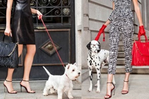 Carolina Herrera – kampania nowej linii torebek