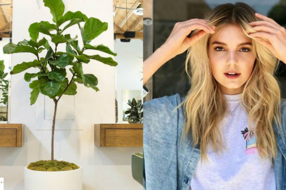 Najbardziej ekologiczny salon fryzjerski na świecie! Loft 647 godny naśladowania