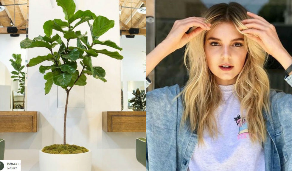 Najbardziej ekologiczny salon fryzjerski na świecie! Loft 647 godny naśladowania Najbardziej ekologiczny salon fryzjerski na świecie! Loft 647 godny naśladowania