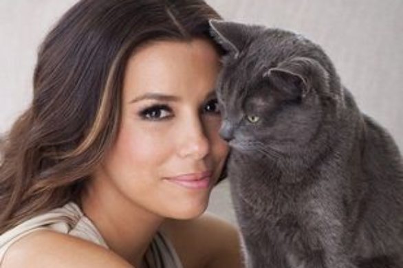 Eva Longoria w reklamie karmy dla kotów Sheba