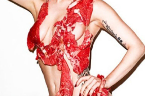 Lady Gaga na okładce czyli sklep mięsny