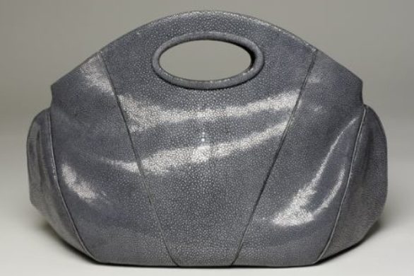 The Goya Bag