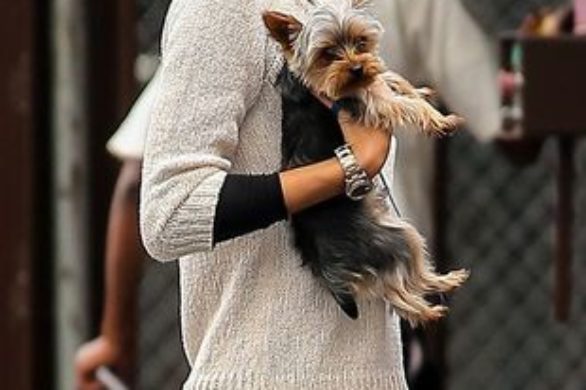 Jessica Hart w codziennej stylizacji (FOTO)