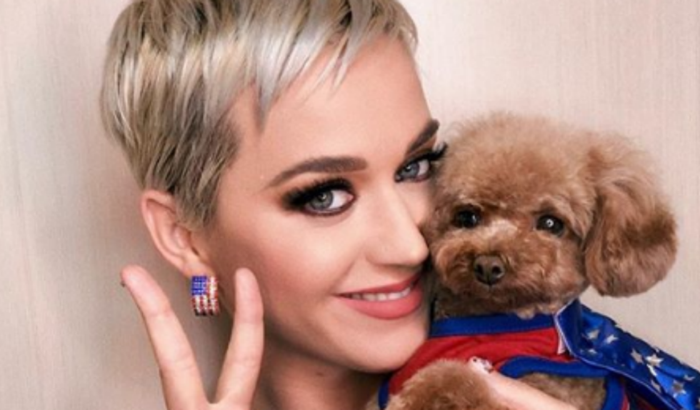 Katy Perry w najmodniejszym makijażu sezonu. Pasuje do jej nowej fryzury?