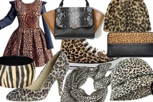 Przegląd trendów jesień 2013 – motywy zwierzęce