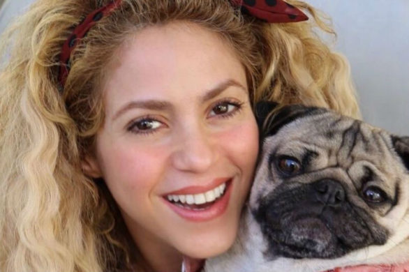 Dramat piosenkarki. Shakira z powodu choroby może stracić wszystkie włosy!