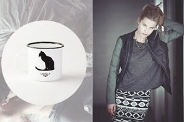 Springfield kampania jesień-zima 2013/14