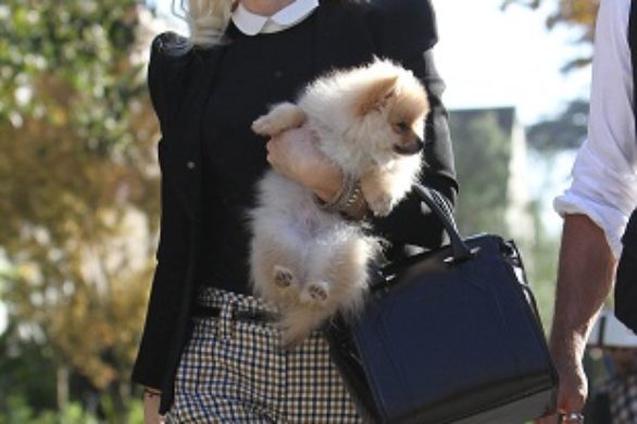 Gwen Stefani w eleganckiej stylizacji