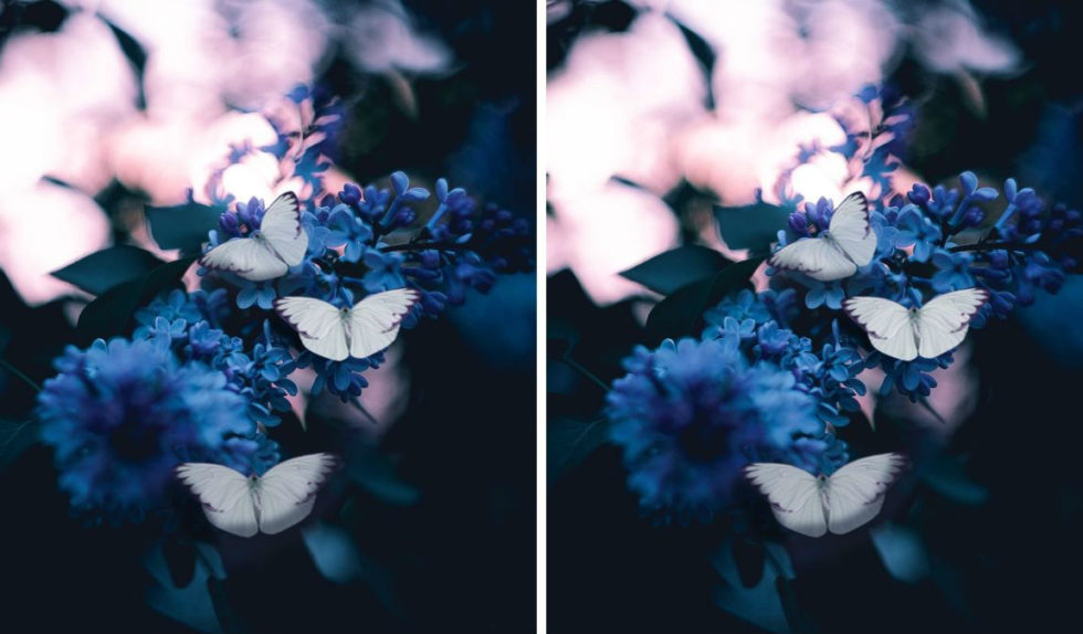 Butterfly nails – kolejny uroczy sposób zdobienia paznokci! Jest naprawdę słodki