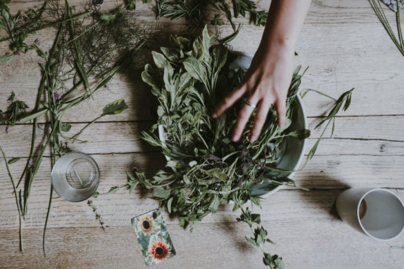 Tarczyca bajkalska – skuteczna w walce z trądzikiem