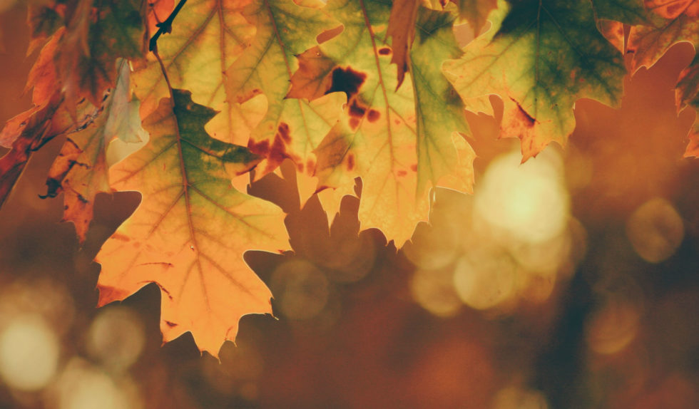 Te buty to najmodniejszy model jesieni