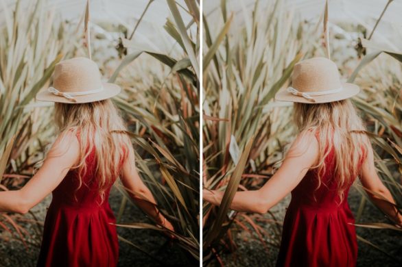 Dieta wegańska – skuteczny sposób na płaski brzuch