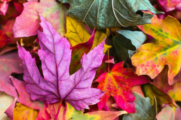 Najmodniejsze fryzury jesieni. Oto piękne inspiracje