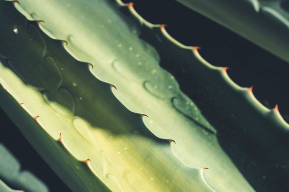 Niepokorna tłusta skóra? Ten minutowy film zmieni twoje życie