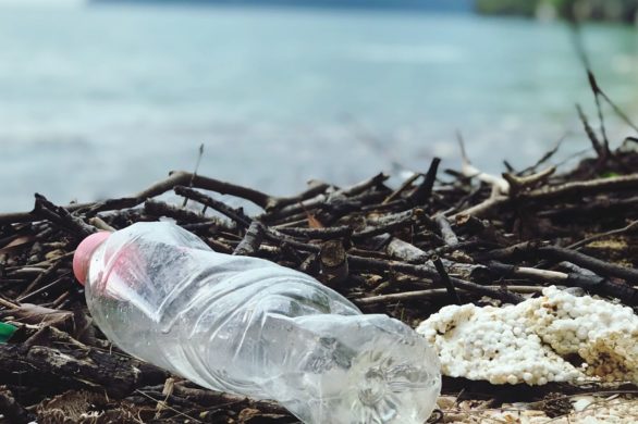 Morski recyking: pływające odkurzacze oczyszczą oceany z odpadów