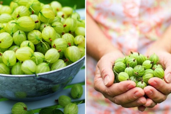 Agrestowa maseczka: kosmetyk, który rozprawi się z przebarwieniami i rozświetli skórę