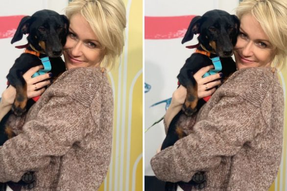 Małgorzata Ohme zachwyciła widzów swoją sukienką. Wiemy, gdzie ją kupiła. Co więcej, teraz możesz mieć ją w promocyjnej cenie