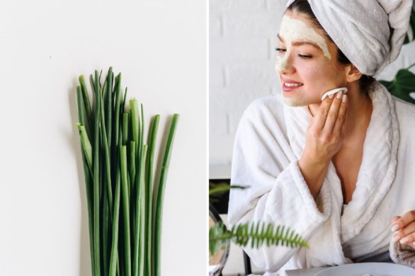 Najprostszy sposób na zmatowienie cery? Pomoże genialna maseczka ze szczypiorku