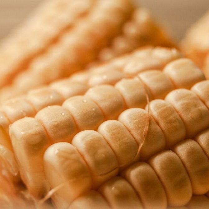 maseczka z kukurydzy