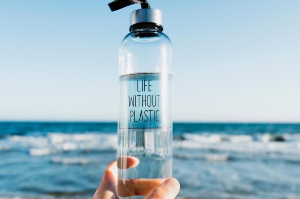 Ekologiczna oferta w Biedronce. Wielorazowe szklane naczynia w duchu zero waste kupisz za niecałe 7 zł!