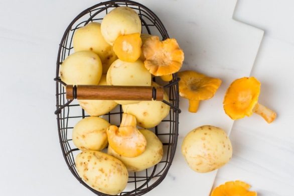 Niesamowite właściwości grzybów – zaskoczysz się, ile mogą dać skórze!