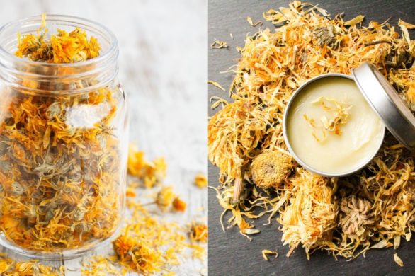 Kojący krem z nagietkiem. Lekarstwo na popękaną i szorstką skórę dłoni