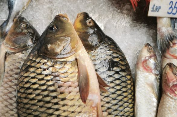 „Wesołych Świąt?” Ten spot reklamowy dosadnie pokazuje krzywdę zwierząt