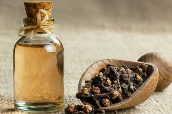 Olejek goździkowy – mało znany składnik, który daje maksimum korzyści dla urody