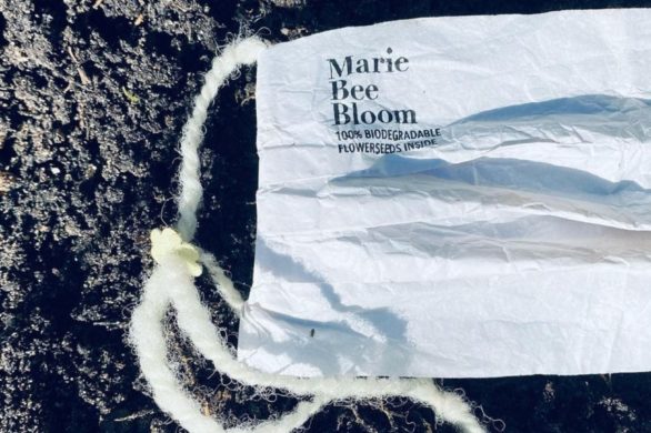 To pierwszy projekt w pełni biodegradowalnej maseczki. Zobacz ją koniecznie!